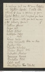 Nachlass Franz Steindachner, Brief von Enrico H. Giglioli an Franz Steindachner (13.02.1884), Inv.Nr. 159.03, Seite 2